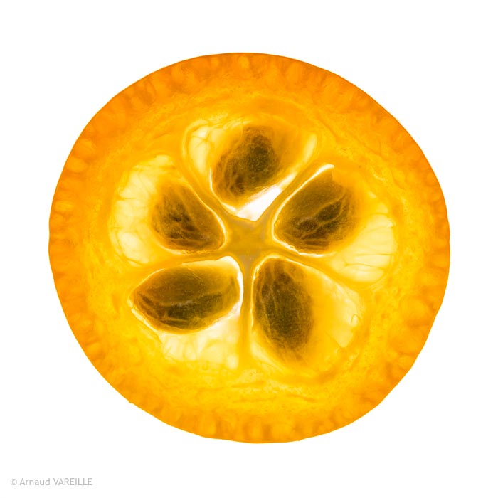 Kumquat - Origine Espagne